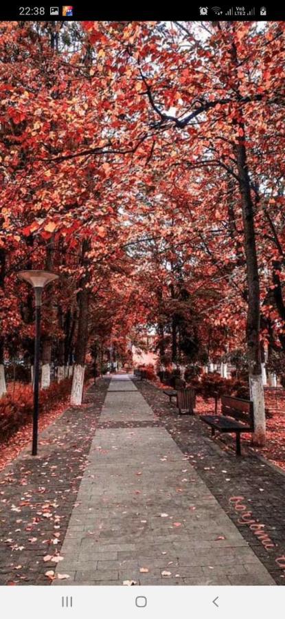 Gamsakhurdia Street Borjomi Εξωτερικό φωτογραφία