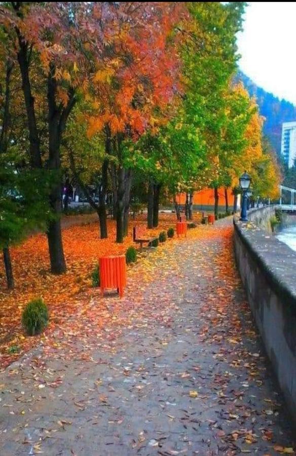 Gamsakhurdia Street Borjomi Εξωτερικό φωτογραφία