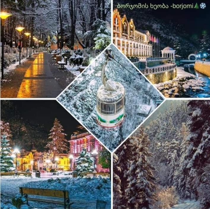 Gamsakhurdia Street Borjomi Εξωτερικό φωτογραφία