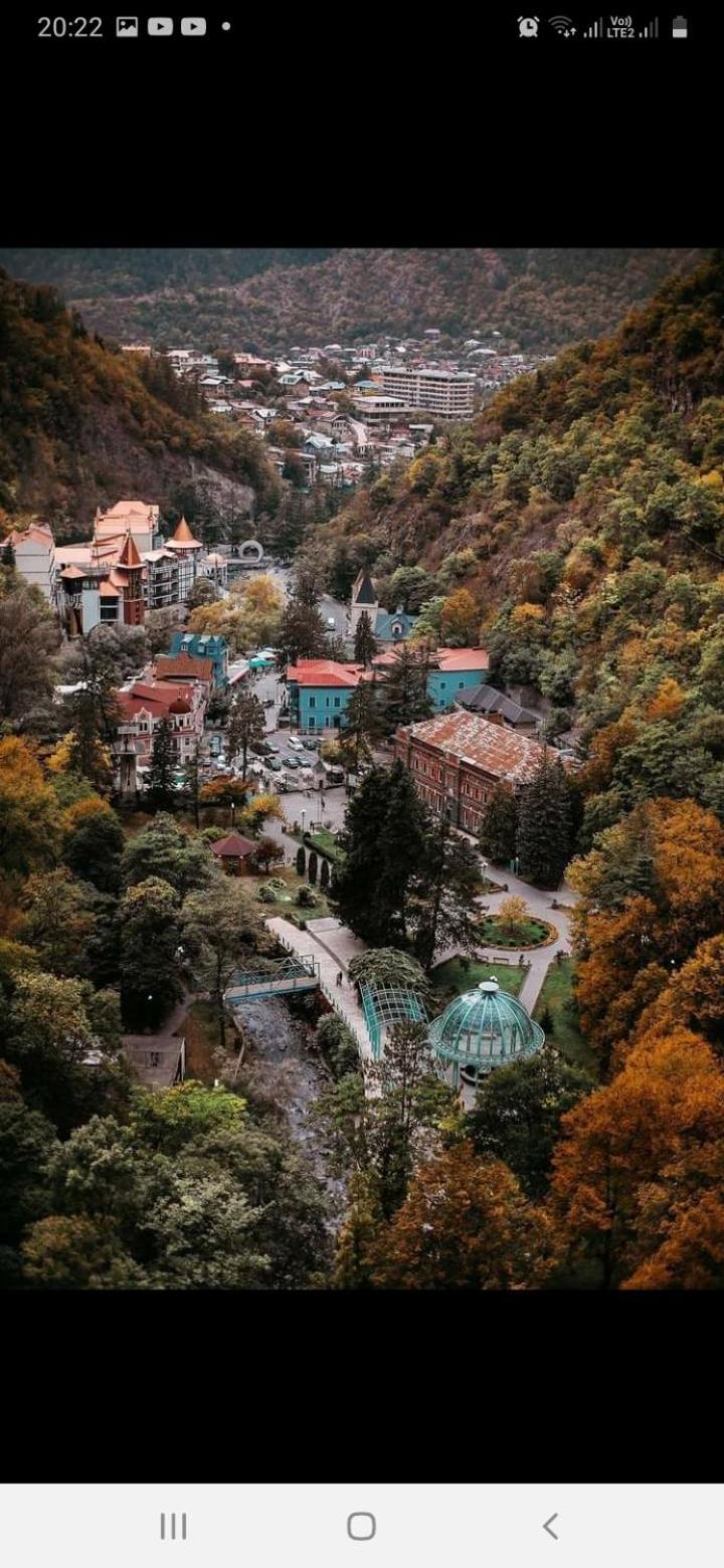 Gamsakhurdia Street Borjomi Δωμάτιο φωτογραφία