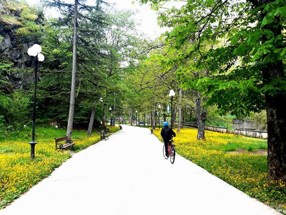 Gamsakhurdia Street Borjomi Εξωτερικό φωτογραφία